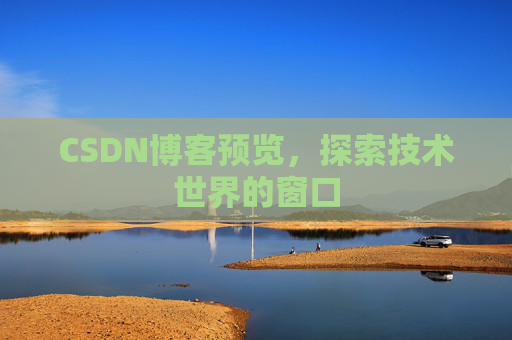 CSDN博客预览,探索技术世界的窗口